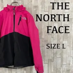 古着 THE NORTH FACE マウンテンパーカー DRYVENT L