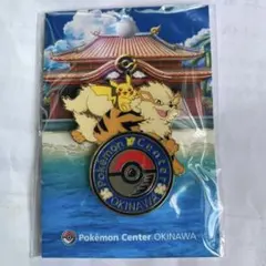 2025年最新】ポケモンセンターオキナワ ピンズの人気アイテム - メルカリ