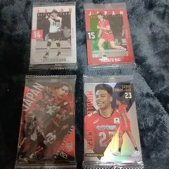 バレーボール日本代表ツインウエハースカード