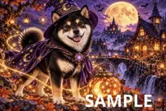 【No.11】黒柴　魔法使いのハロウィン　ポストカード 犬 イラスト はがき