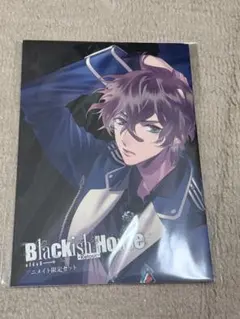 2025年最新】blackish house 小冊子の人気アイテム - メルカリ
