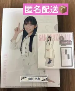 欅坂46 まとめ売り 欅坂46 櫻坂46 まとめ売り - メルカリ