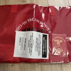 2025-26 TREASURE TOUR PULSE ON アップグレード特典