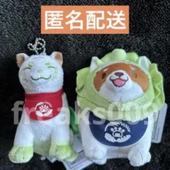 野菜キャラクターぬいぐるみ 9体セット 野菜キャラクターぬいぐるみ 9体セット 野菜キャラクター