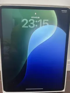 バッテリー100% Apple iPad Pro 13インチ M4 256GB - メルカリ