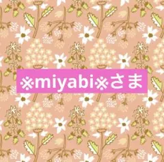 ※miyabi※さま専用☆。.:＊・゜