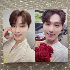 SEVENTEEN 会場限定 トレカ 大阪 ユニバ特典 ディノ