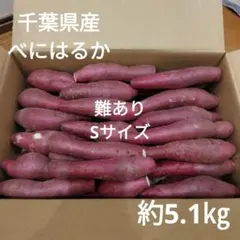32 難あり　千葉県産　べにはるか　さつまいも　サツマイモ　Sサイズ　約5.1㎏