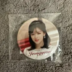 twice ジョンヨン　缶バッジ　Dreamday