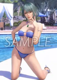 Venus Vacation PRISM ソフマップ特典B2タペストリー たまき