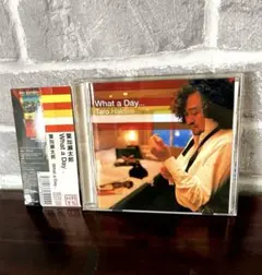 【美品】What a Day 葉加瀬太郎 CD 11曲