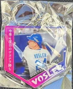 中日ドラゴンズ　ファンフェスタ　メモリーアクリルキーホルダー　ボスラー選手