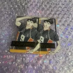 ハイキュー 箔押しクリアカードコレクション ファンパーク 影山飛雄