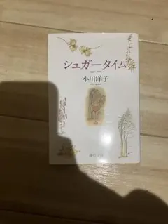 シュガータイム 小川洋子