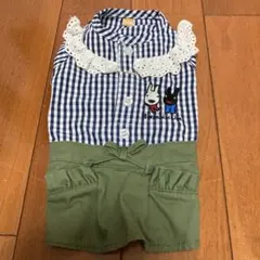 犬服　ペットパラダイス　リサとガスパール　DSSサイズ