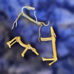 Item thumbnail for item cc581be5-54e4-4e06-8b2b-17657628fa80