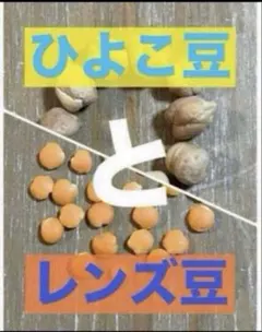 Y-O様 リクエスト 2点 まとめ商品