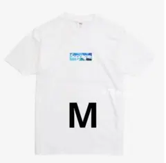 Item thumbnail for item f0855740-ad24-4931-914a-3059636f2fb9