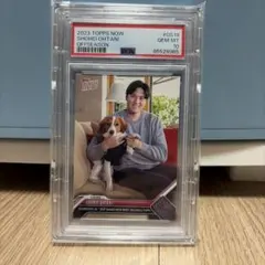 2026年最新】大谷翔平 デコピン psa10の人気アイテム - メルカリ