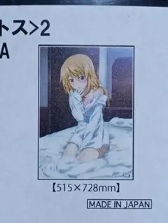 インフィニットストラトス　クリアポスター