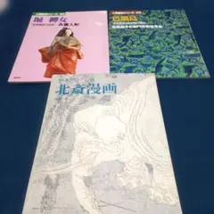 人間国宝シリーズ ２冊セット 堀柳女 色鍋島 ２平凡社ギャラリー１冊北斎漫画