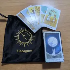 Item thumbnail for item 9341f4d4-b40b-4c02-9abd-f4e618291938