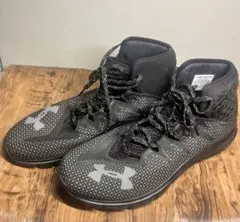 【美品】アンダーアーマー スニーカー プロジェクトロック デルタ 30cm 2026年最新】project rock deltaの人気アイテム - メルカリ