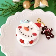 (No.1)クリスマスマカロン