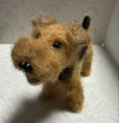 2025年最新】ウェルシュテリアの人気アイテム - メルカリ