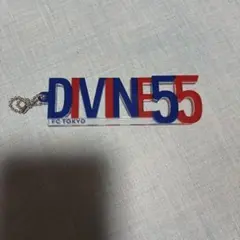 FC東京 DIVINE 55 アクリルキーホルダー