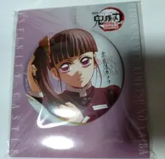鬼滅の刃　無限城編　描き下ろしイラスト　75mm 飾れる缶バッジ　栗花落カナヲ