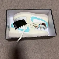 NIKE ウィメンズ フィールド ジェネラル PRM