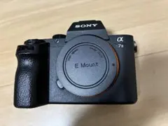 2025年最新】SONYα7IIの人気アイテム - メルカリ