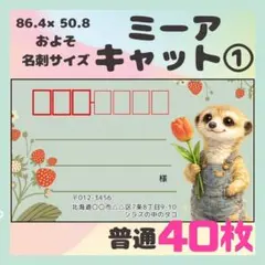 【ミーアキャット①】40枚　宛名シール　ラベル　差出人　普通サイズ