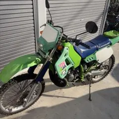 タミヤ 希少 小鹿 1/10電動RCカー（RS540Sモーター付）ワイルドワン