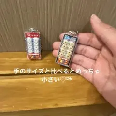 コリス フエラムネ ミニチュア キーホルダー 2種セット