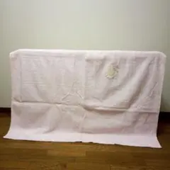 Item thumbnail for item 192527c7-62b9-4be3-b441-c3ba685565c7