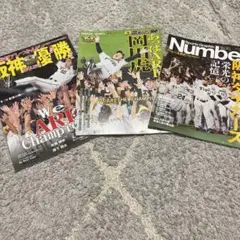 2023年　阪神タイガース優勝　記念特別版　ありがとう岡田監督　３冊セット