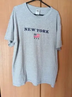 フルーツオブザルーム tシャツ