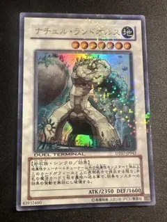 ナチュエル・ランドオイルス DT07-P042 ウルトラ