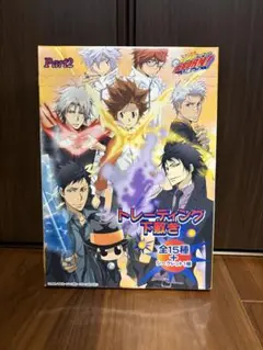 家庭教師ヒットマン　リボーン　トレーニング下敷き Part2 未開封 16枚