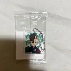 イナズマイレブン アクリミニ アクリルキーチェーン 不動明王
