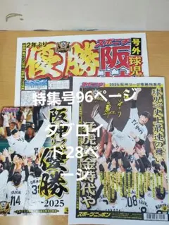 阪神タイガース タブロイド 特集号 新聞 スポーツ新聞