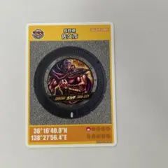 マンホールカード 第29弾 埼玉県 加須市 C001 初期ロット 001 美品