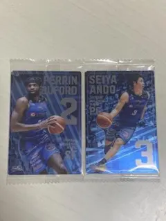 ペリン・ビフォード 直筆サインカード レギュラーカード 金箔サイン版ペリン・ビュフォード | Trading