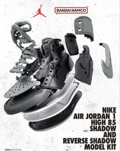 【新品未開封】NIKE AIR JORDAN 　MODEL KIT