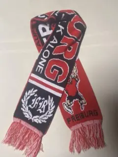 FREIBURG AUFSTIEG 2008 1. LIGA FOOTBALL