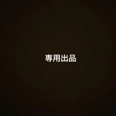 専用出品