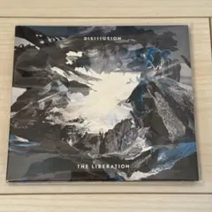 Disillusion / The Liberation