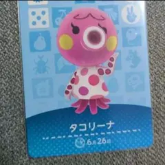 おちゃ様 リクエスト 3点 まとめ商品